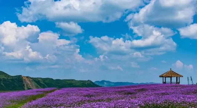 乘坐高铁至兴义南站的旅客，可享受这项旅游优惠→