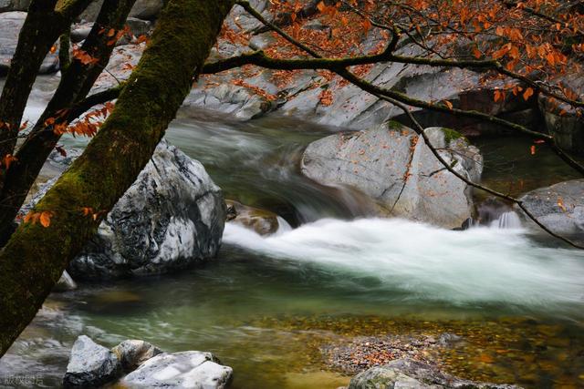 风景不输九寨，斑斓堪比张掖，这个 70% 游客都错过的彩林小城！