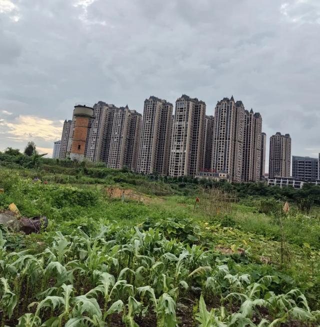 五象湖「最强景观」火了，公告成了废纸