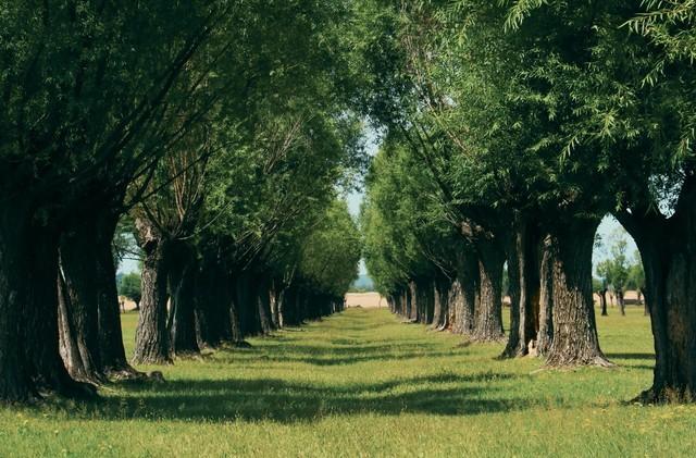 我和男闺蜜去看午夜场电影，散场后，却看见老公在影院门口