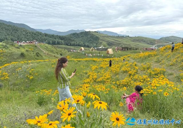雨歇风凉花正好 耳子屲梁客如潮