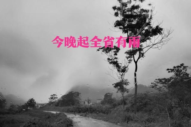 河南这场雨究竟有多大？大暴雨+12级大风！今晚起全省有雨
