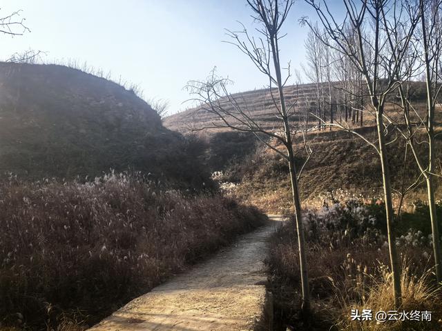 游览了这片芦花后，我又到蓝田这个没有拆掉的村子，见到这些老人