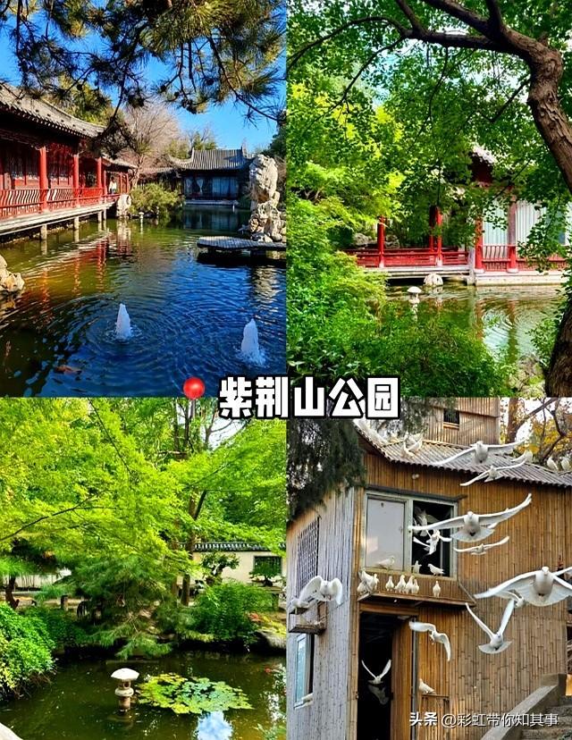 我是甘肃人，一家人来了趟河南郑州，实在忍不住要说下这五个疑问