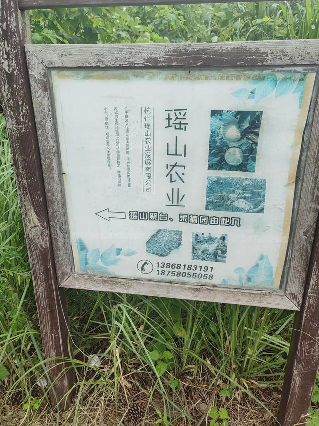 余杭安溪镇有一个瑶山遗址公园