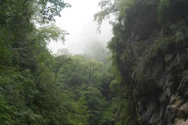 “铁腚大巴”甘南线第三站：那里的绿水青山，让生态游借势生金