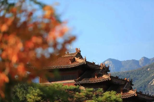 千万别在秋天来泰安，不然真的很难戒断