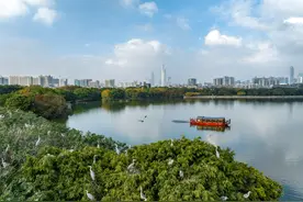 海珠区：打造人才与产业双向奔赴“强磁场”｜百万英才汇南粤图片
