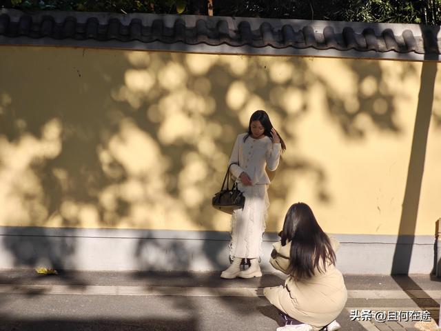 南京“丑萌”梧桐C位出道！颐和路半天游，把民国浪漫拍成表情包