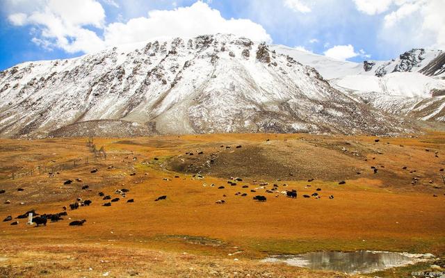 没有一个中国人不知道昆仑山，但你知道怎么在昆仑山旅行吗？
