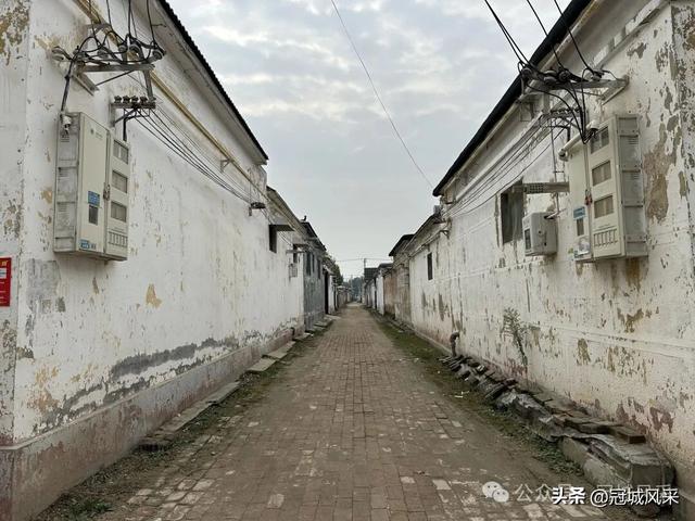 冠县乡韵·桑阿镇野场村