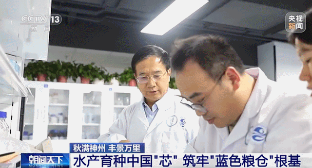 大国重器！沙海粮仓之后再现海上粮仓，15万吨级国字号重器成关键