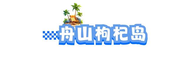 体荟四季｜冲浪、赶海、骑行...江浙沪这些 “动感海岸线”激活你的整个夏天