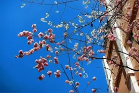 明起昆明降温降雨，最高气温或将下降8~12℃！一个月后图片