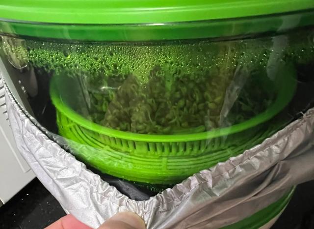 图便宜买的5个小家电，曾被吹捧上天如今沦为笑柄，看看你有几个