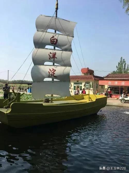 白洋淀：嘎子不能再嘎了？