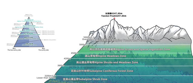 观山·阅史·体验·品文化 | 四座博物馆，四种维度，解锁一个立体的四姑娘山