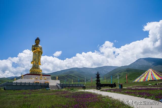 第46，甘南青海自驾游总结，说走就走的旅行，风景在路上