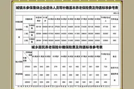 养老保险补缴全攻略：断缴 十 年也能一次性补上图片