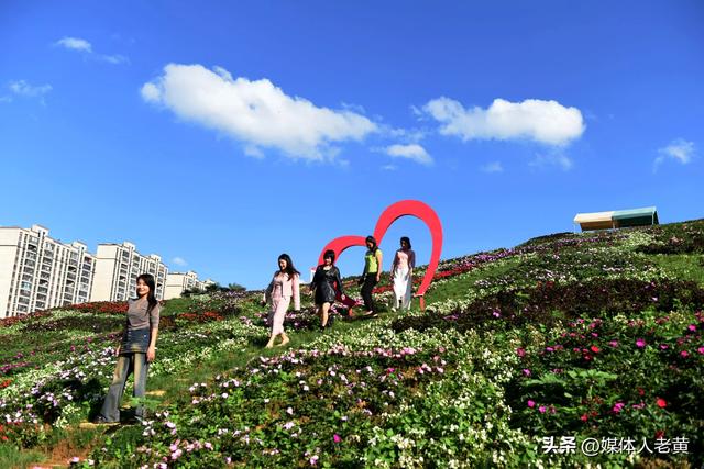 六盘水明湖花海盛开引游客赴一场秋日游约会