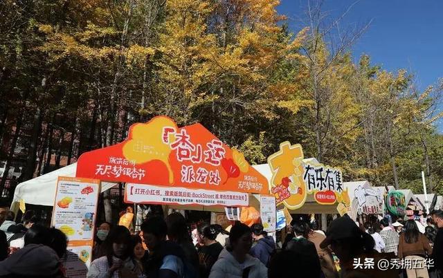 去版筑翠园，在“无尽梦银杏节”中打卡冬日休闲金色盛宴