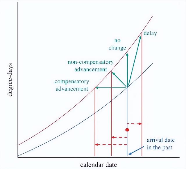 东北网友拍下大量燕子滞留，目击者：死了很多，已经飞不走了……