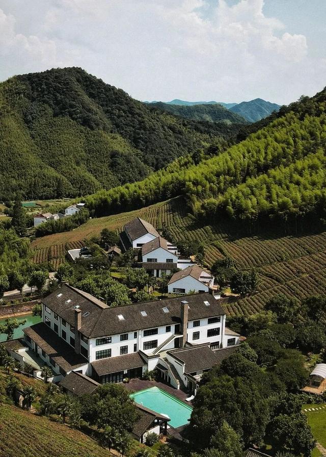 莫干山的文旅新实践，山野里长出了新日常