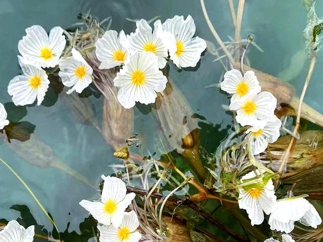 人老了，趁还能动，赶紧把这三件事安排。