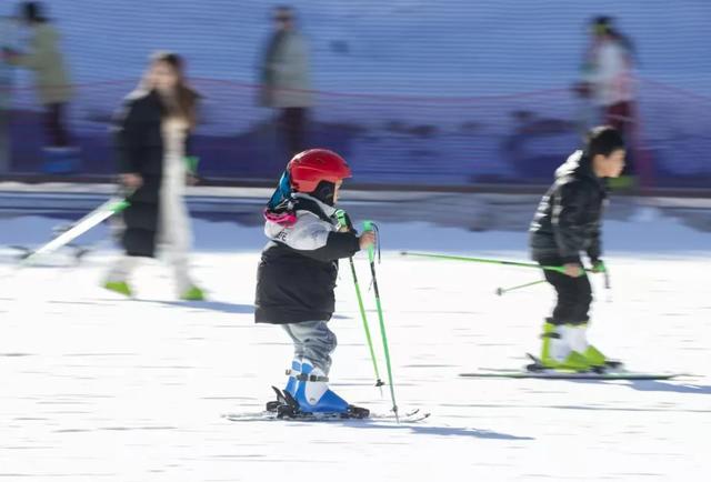 冬日亲子游,首选龙头山!打卡冰雪童话,承包全家欢乐时光~