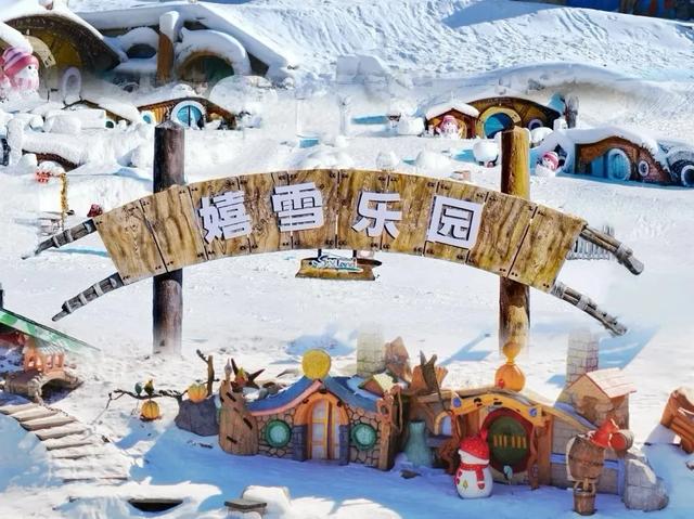 体荟四季丨出发！与小体一同解锁长三角3小时“滑雪圈”