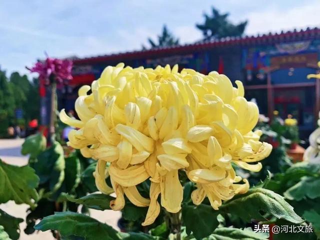秋季爬山正当时！秦皇岛12座绝美山峰好爬不累景色美！