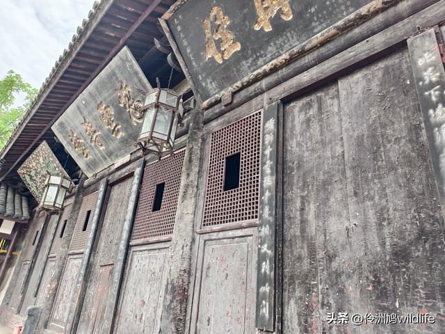 成都徒步（64）·新津篇③观音寺