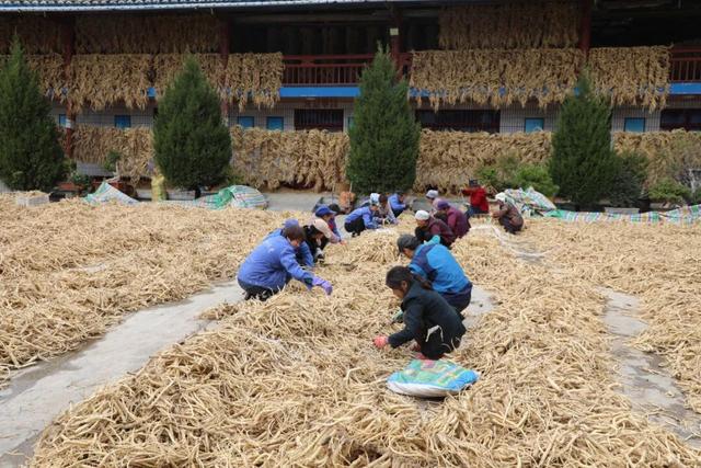 "咔嚓！"→文县