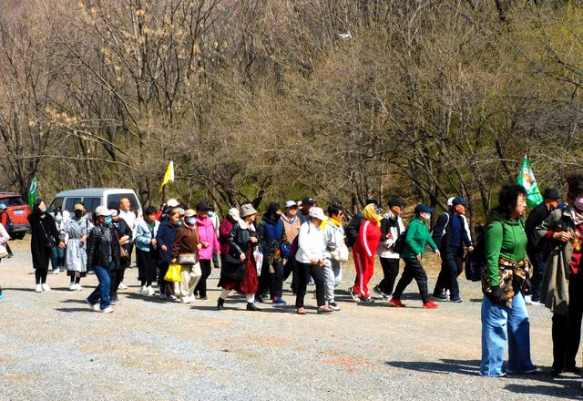 闻名省内外的“本溪地区最大的野生映山红花海”即将迎来观赏季