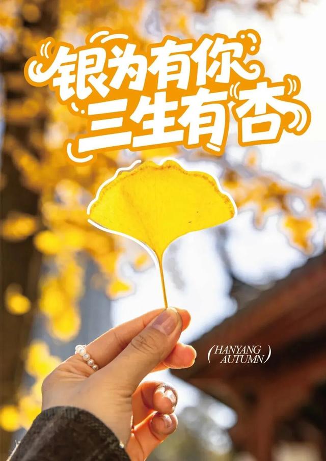 汉阳的秋天也太会了，“捡秋”比赏秋更上瘾