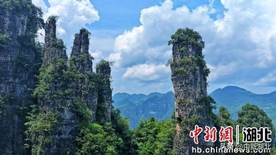 湖北五峰柴埠溪启动“22℃进山计划” 邀游客进山避暑
