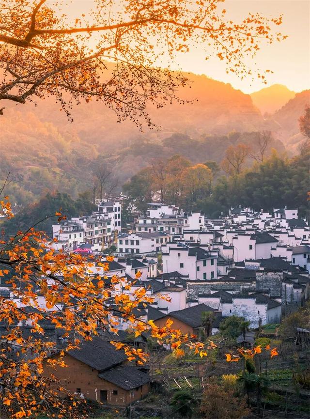 接下来2个月，这16个地方的秋色迎来“封神”之作，挑一个出发！