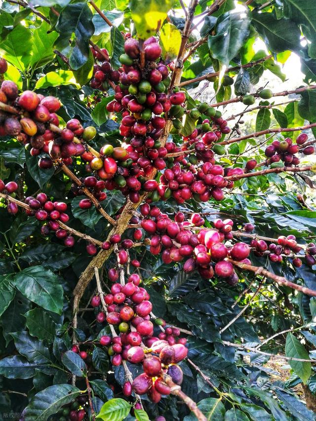 11月-1月，秋冬来云南，这10处绝美风景，是最佳观赏期