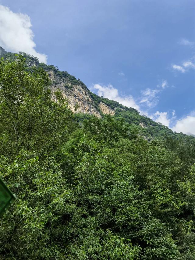 七律•九皇山行
