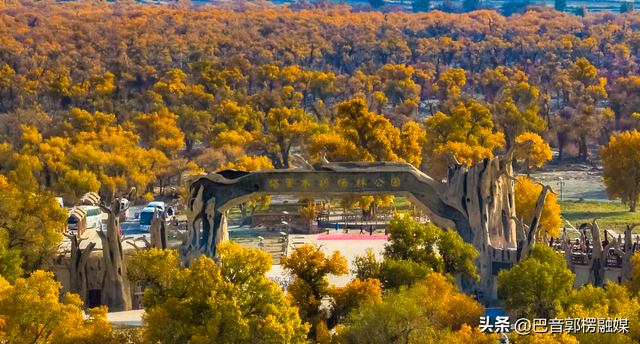 立足千年胡杨，轮台如何打造文旅新名片？