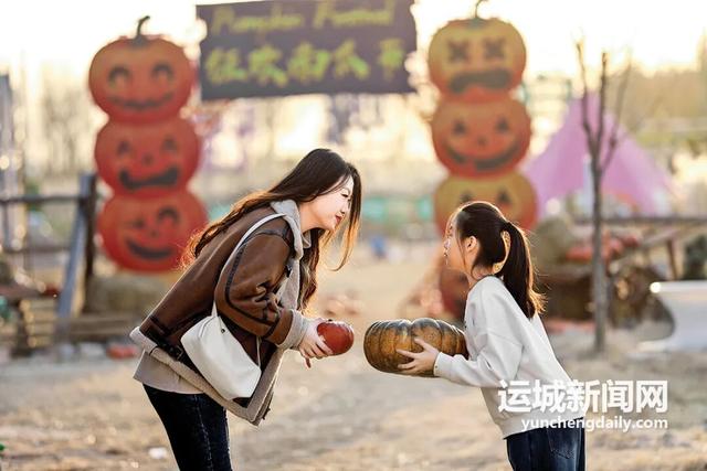 野趣“南瓜节” 等你来打卡
