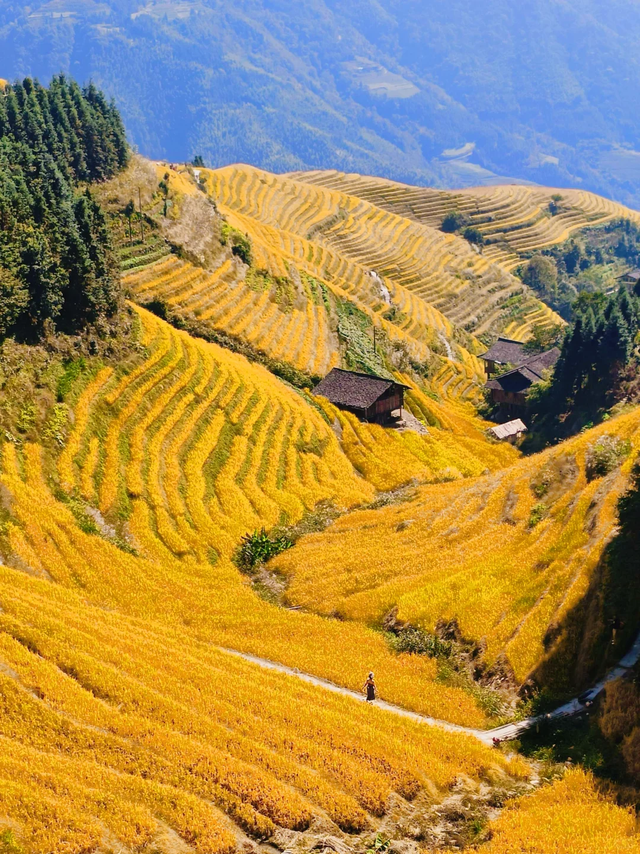 中国这10个地方，去过3个算你会玩，去过5个全朋友圈都得起立点赞