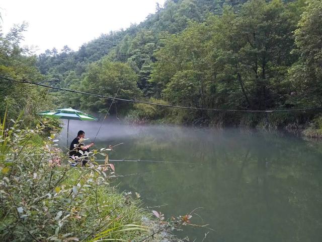 端阳喜伴小溪河，独有诗心迷远足——徒步小溪河散记（三）