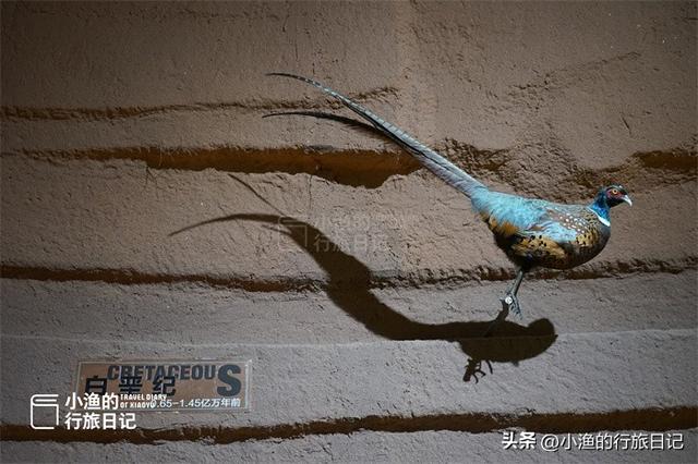陕西黄河边有座石头博物馆，门口看着不起眼，里面藏着“大宝藏”