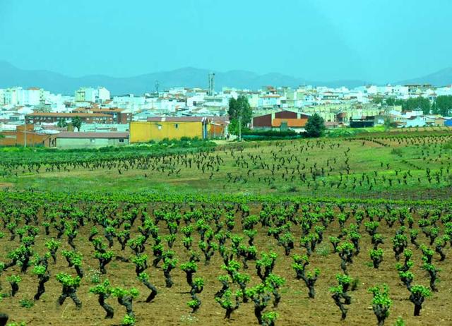 西班牙旅游：难忘从塞维利亚到直布罗陀行记（图）