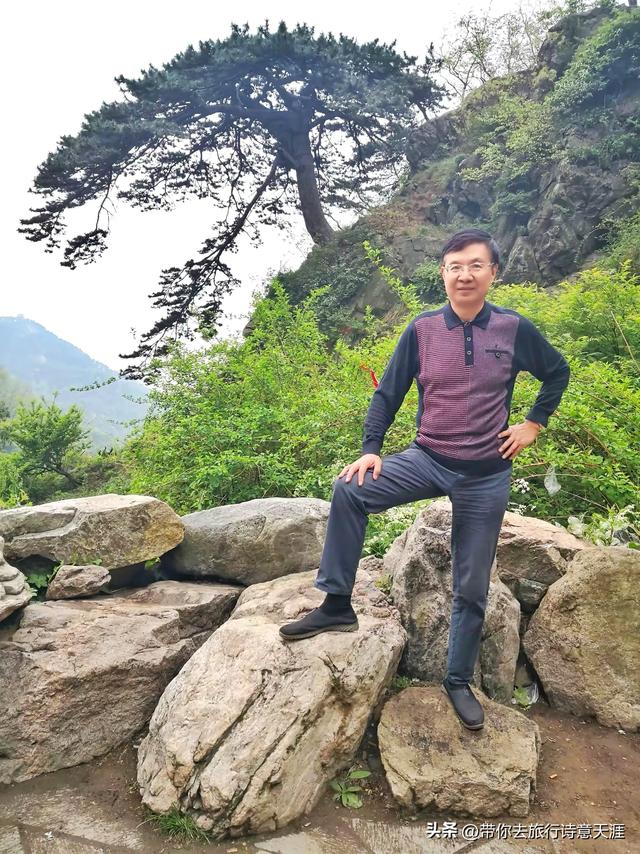登泰山赏名家石刻，这些石刻都在必经之路上
