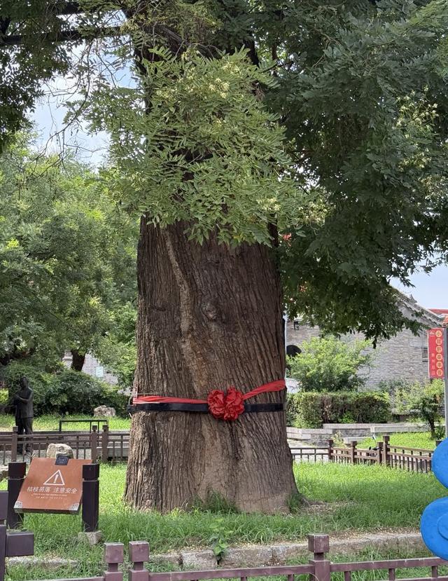 我是北京人，刚游完山东青州	，忍不住想说对青州的5点印象。