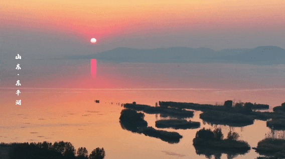 初冬东平湖，最是诗意时