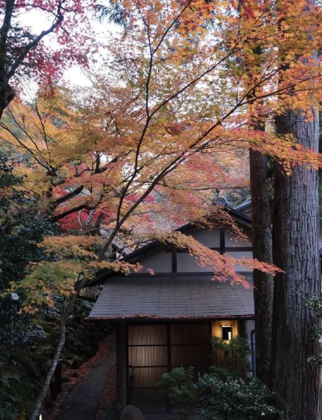 MeMeet酒店｜秋色限定，枫叶与山景中的隐世酒店
