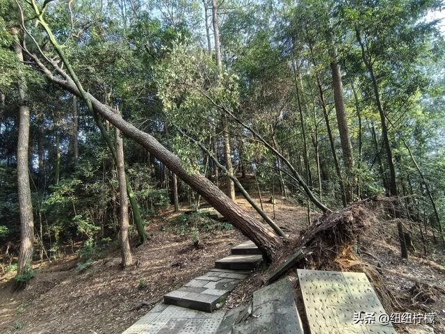 户外徒步之挑战缙云九峰，从健身梯道到狮子峰，走了四小时